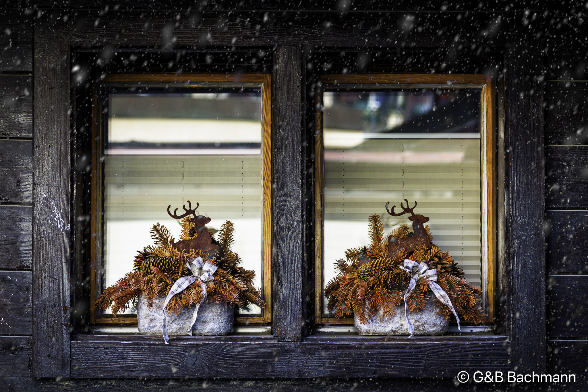 202102_Windows-Zermatt.jpg