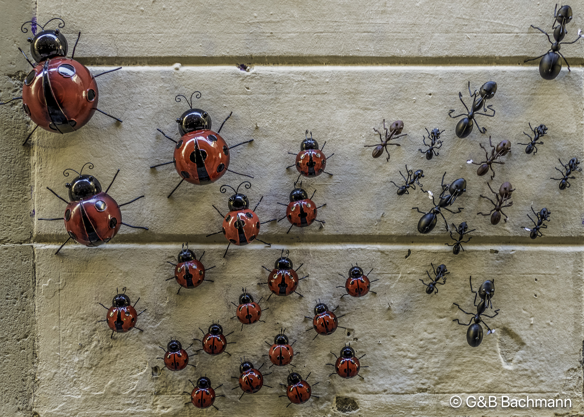 202205_Bugs.jpg