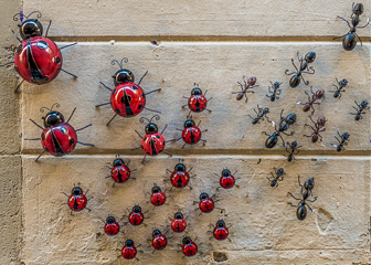 202205_Bugs.jpg