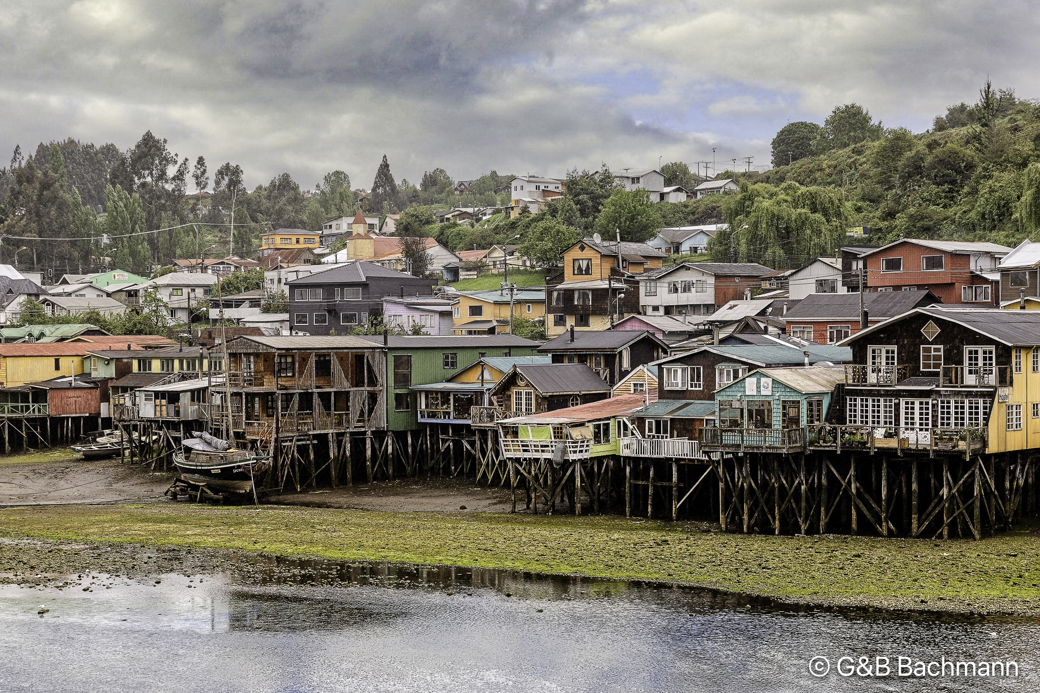 202403_Chiloe.jpg