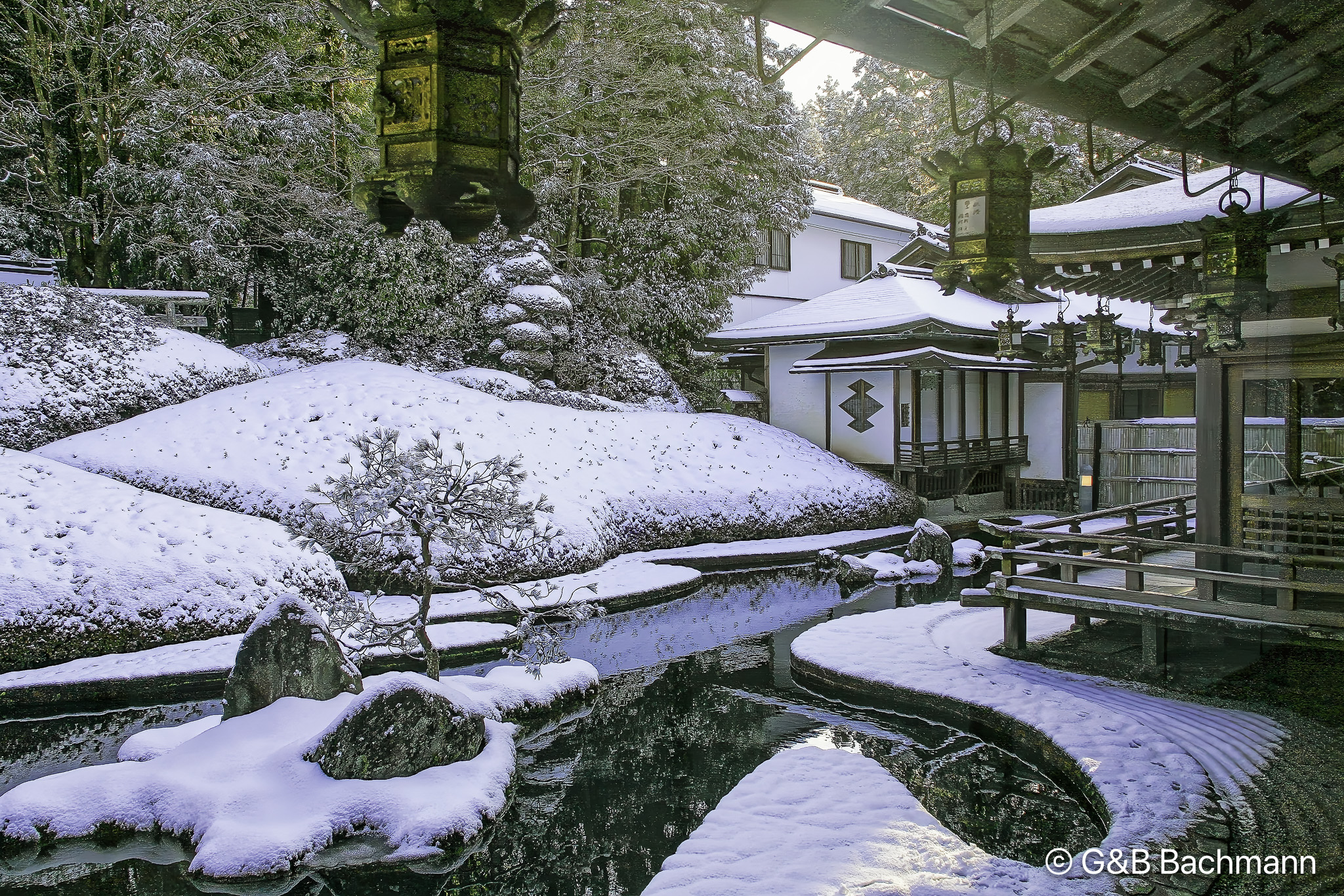 202501_Mt-Koya.jpg