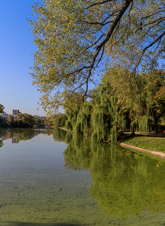 108A8877.jpg