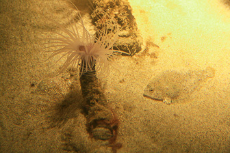 Aquarium-Monterey_0026.jpg