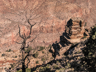 z19_Gd_Canyon_PS_0019.jpg