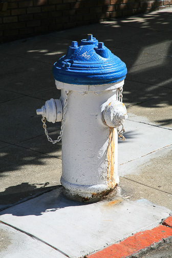 IMG_4085.jpg