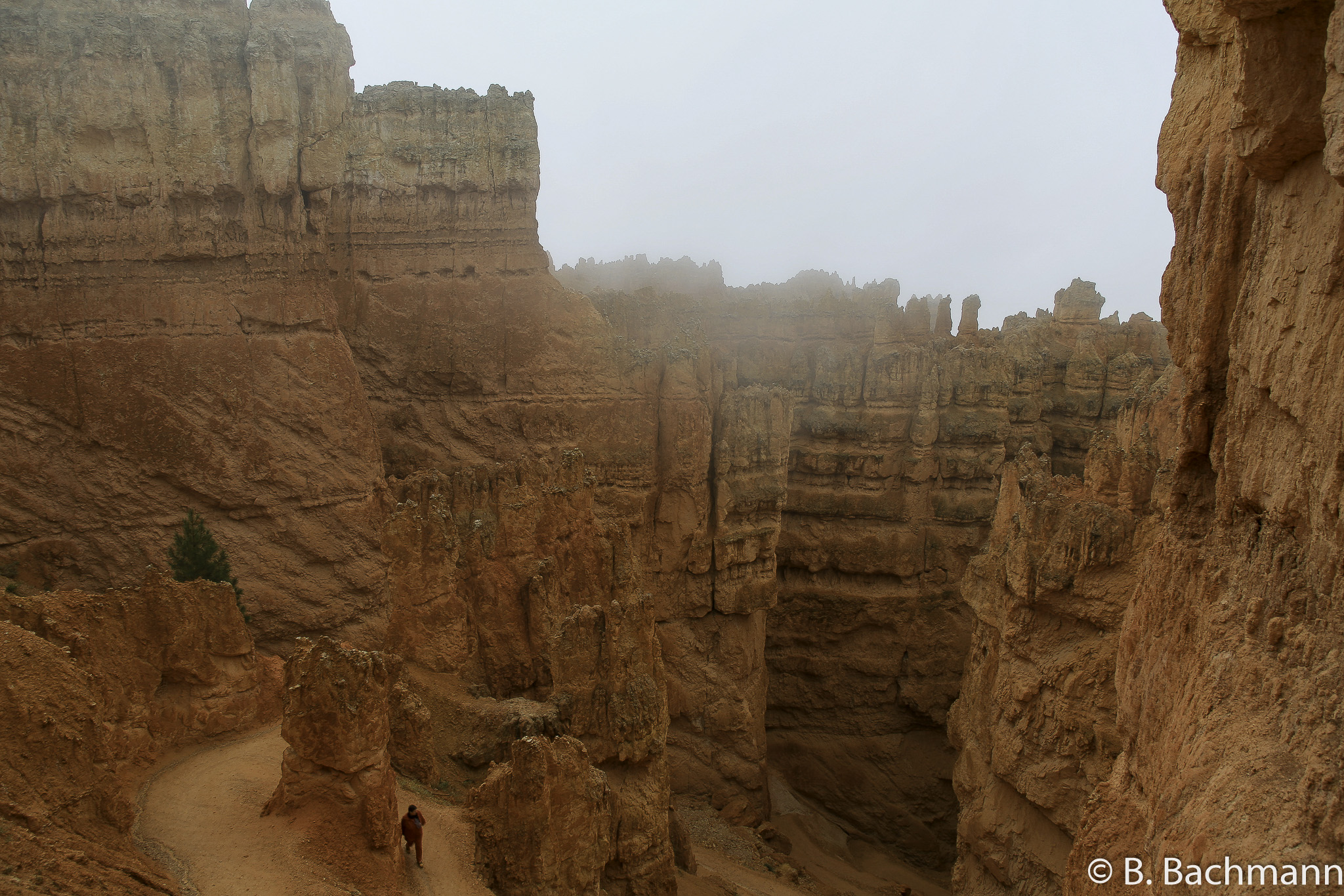 Bryce-Canyon_0005.jpg