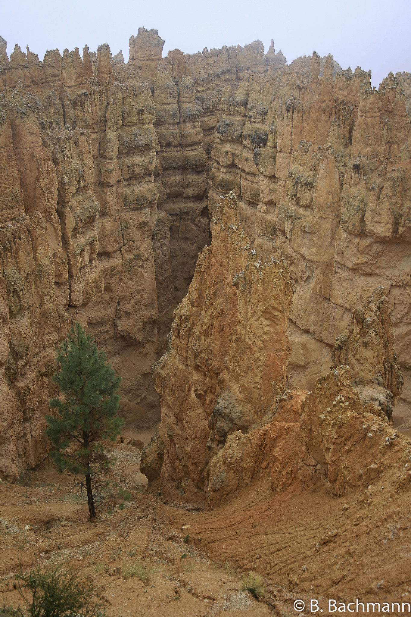 Bryce-Canyon_0006.jpg