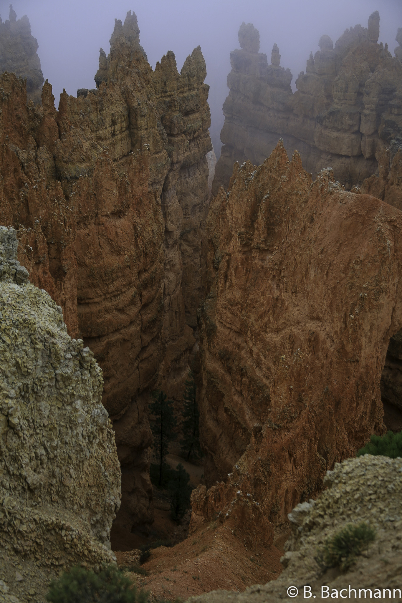 Bryce-Canyon_0010.jpg