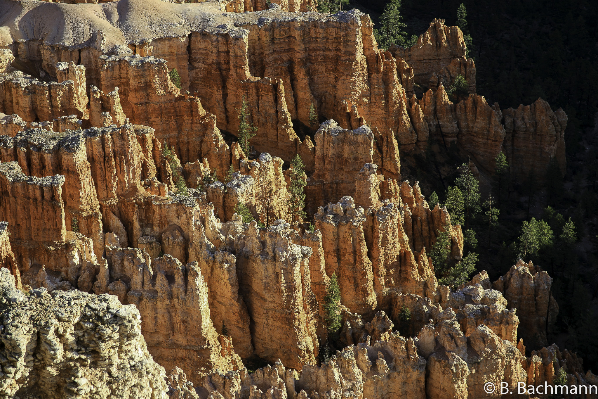 Bryce-Canyon_0013.jpg