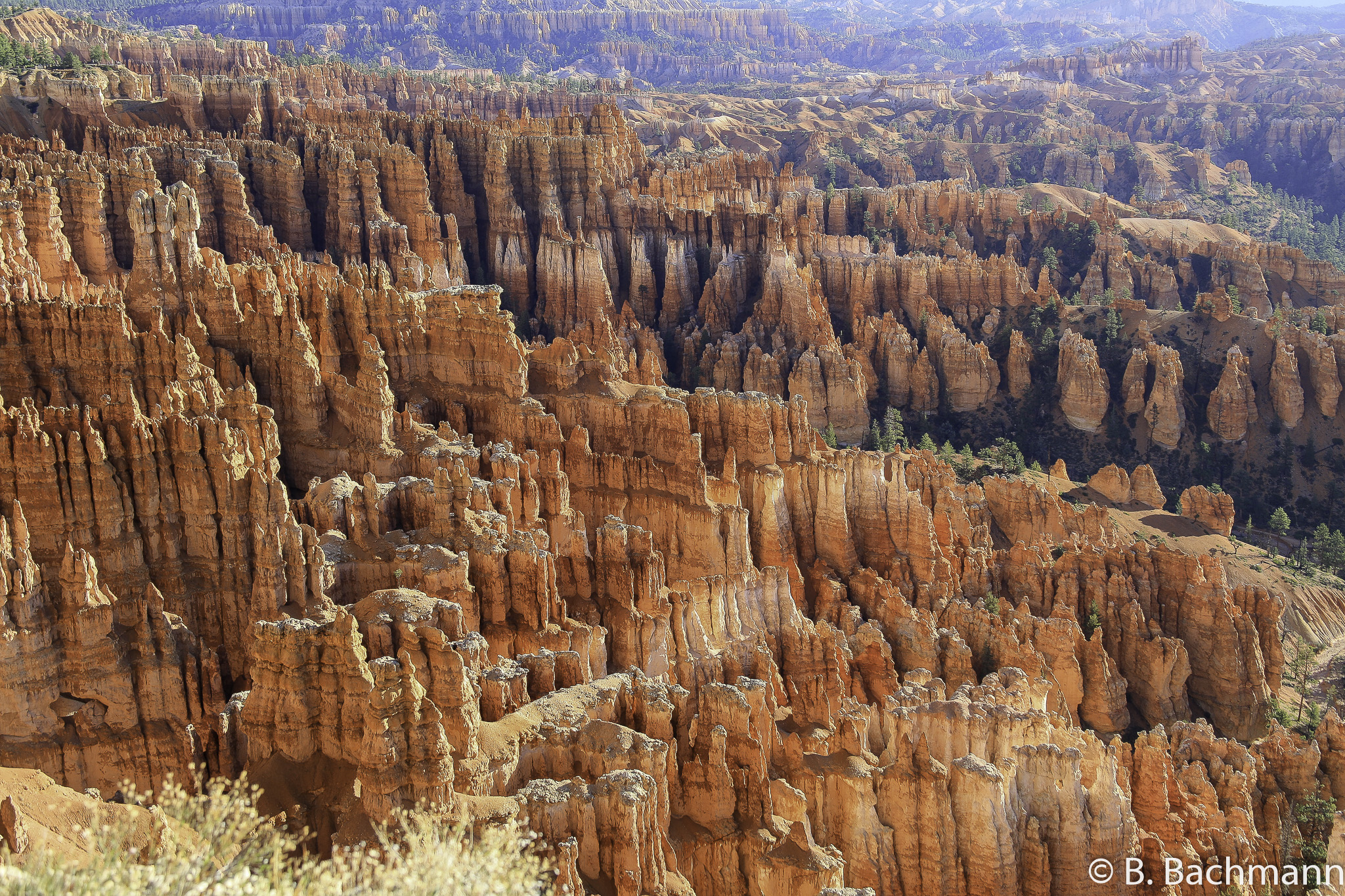 Bryce-Canyon_0014.jpg