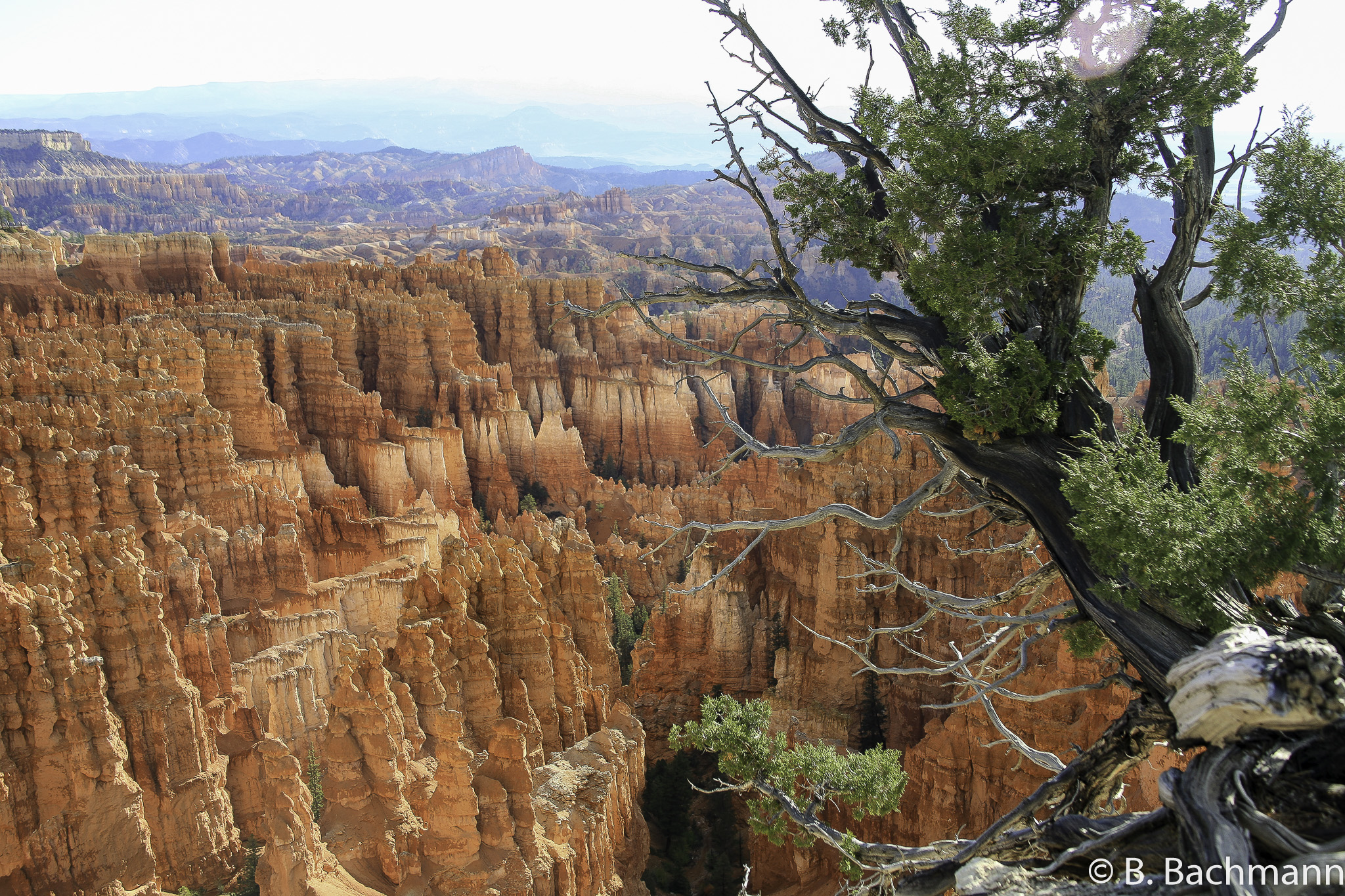 Bryce-Canyon_0018.jpg