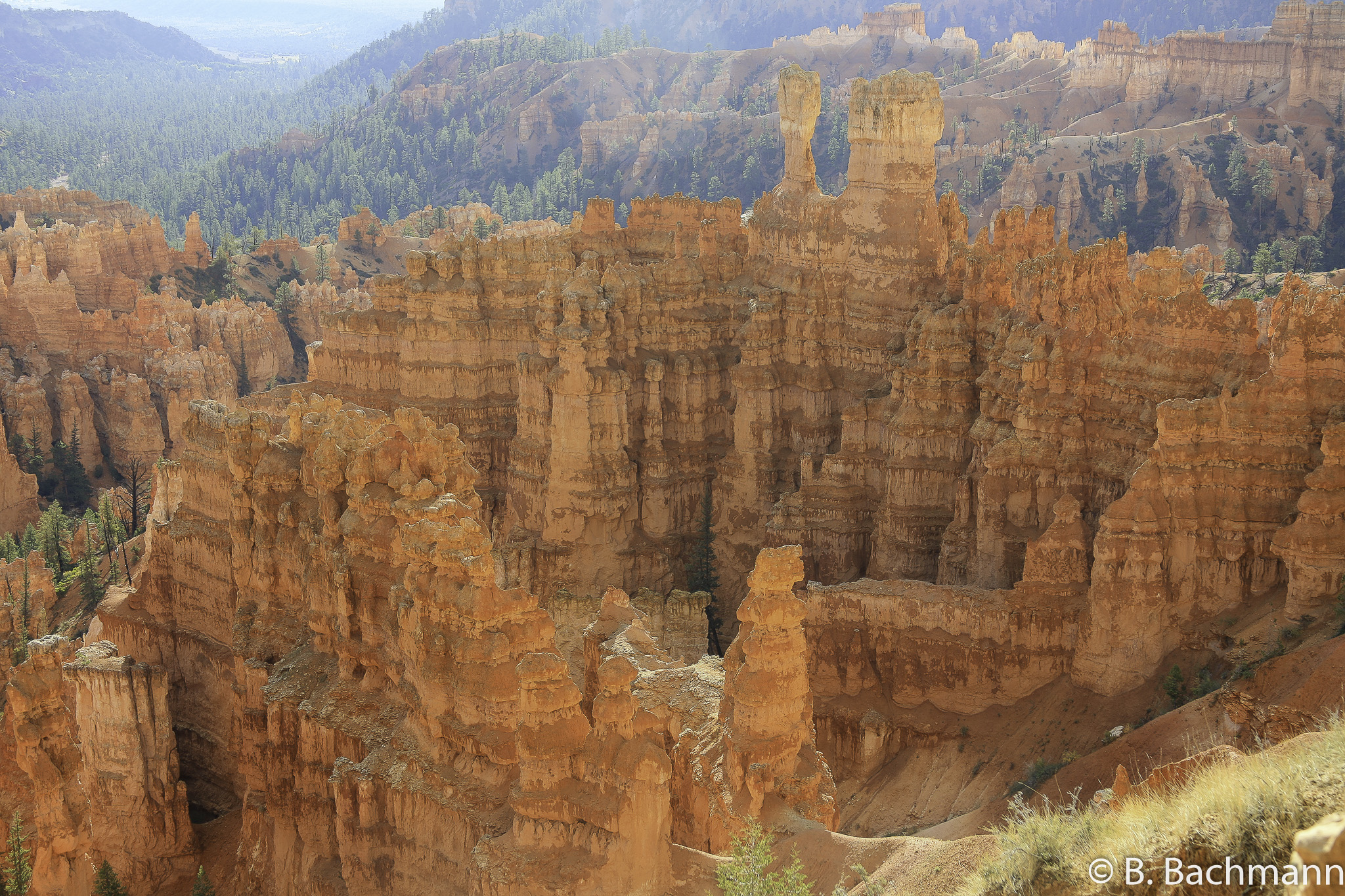 Bryce-Canyon_0019.jpg