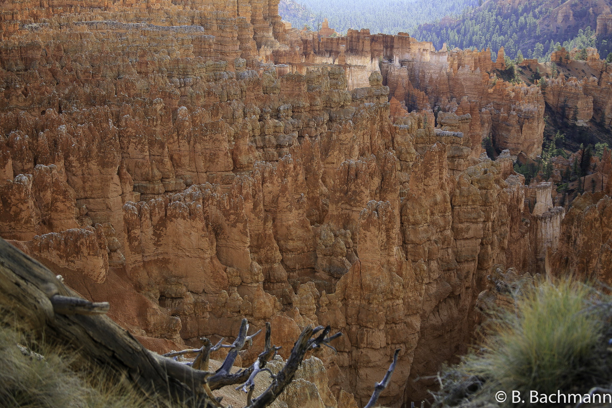 Bryce-Canyon_0020.jpg
