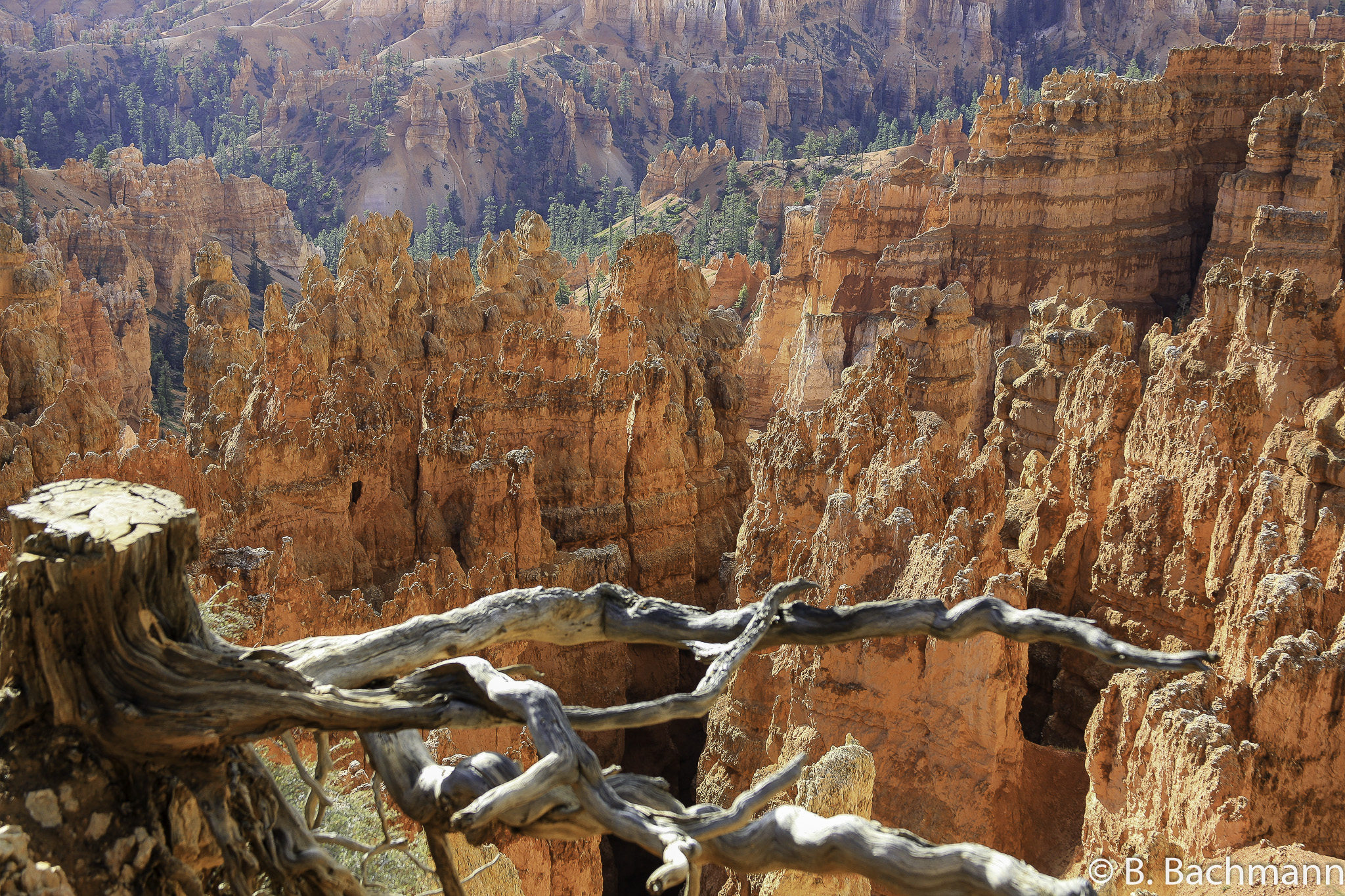 Bryce-Canyon_0022.jpg