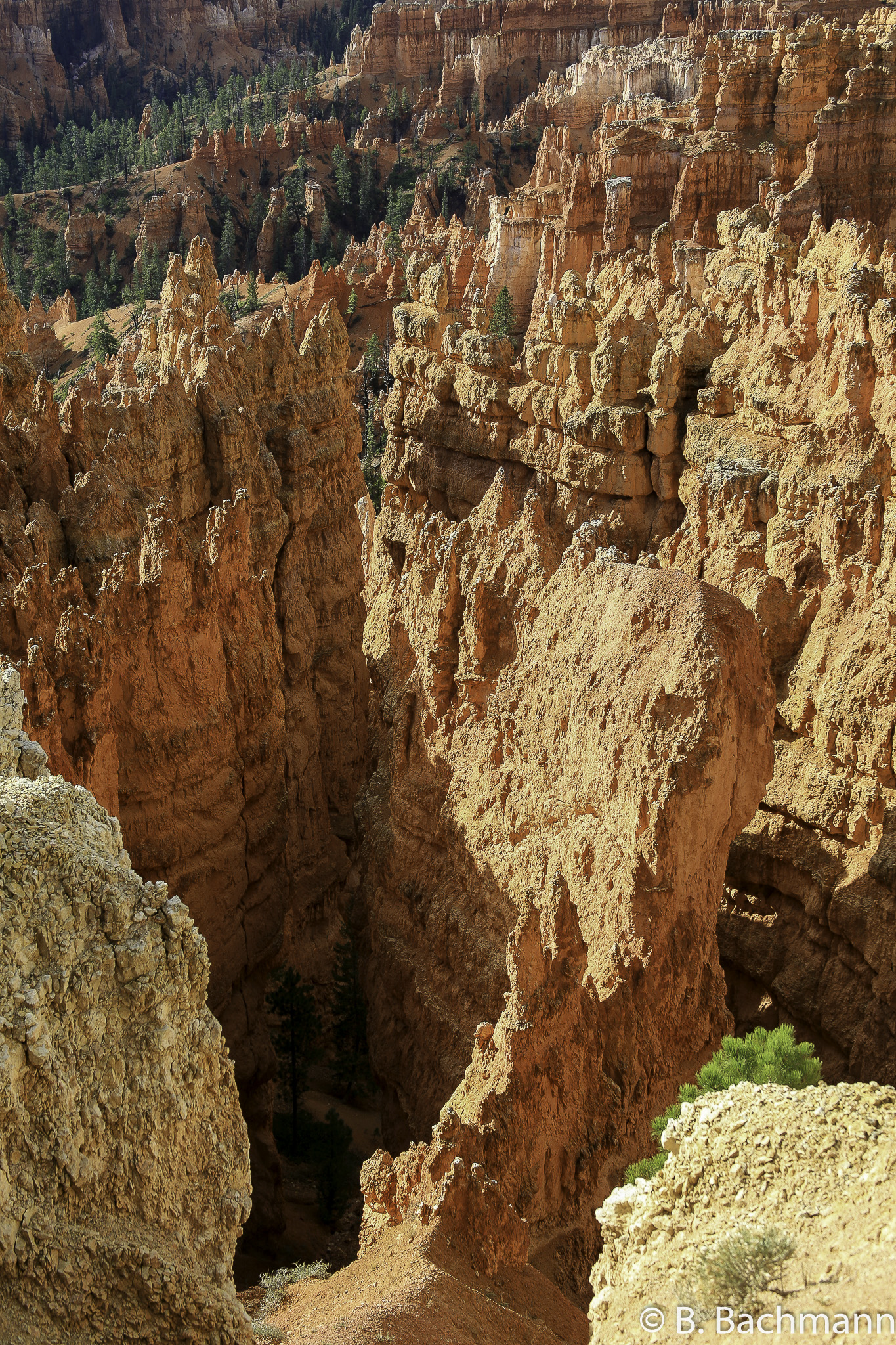 Bryce-Canyon_0023.jpg