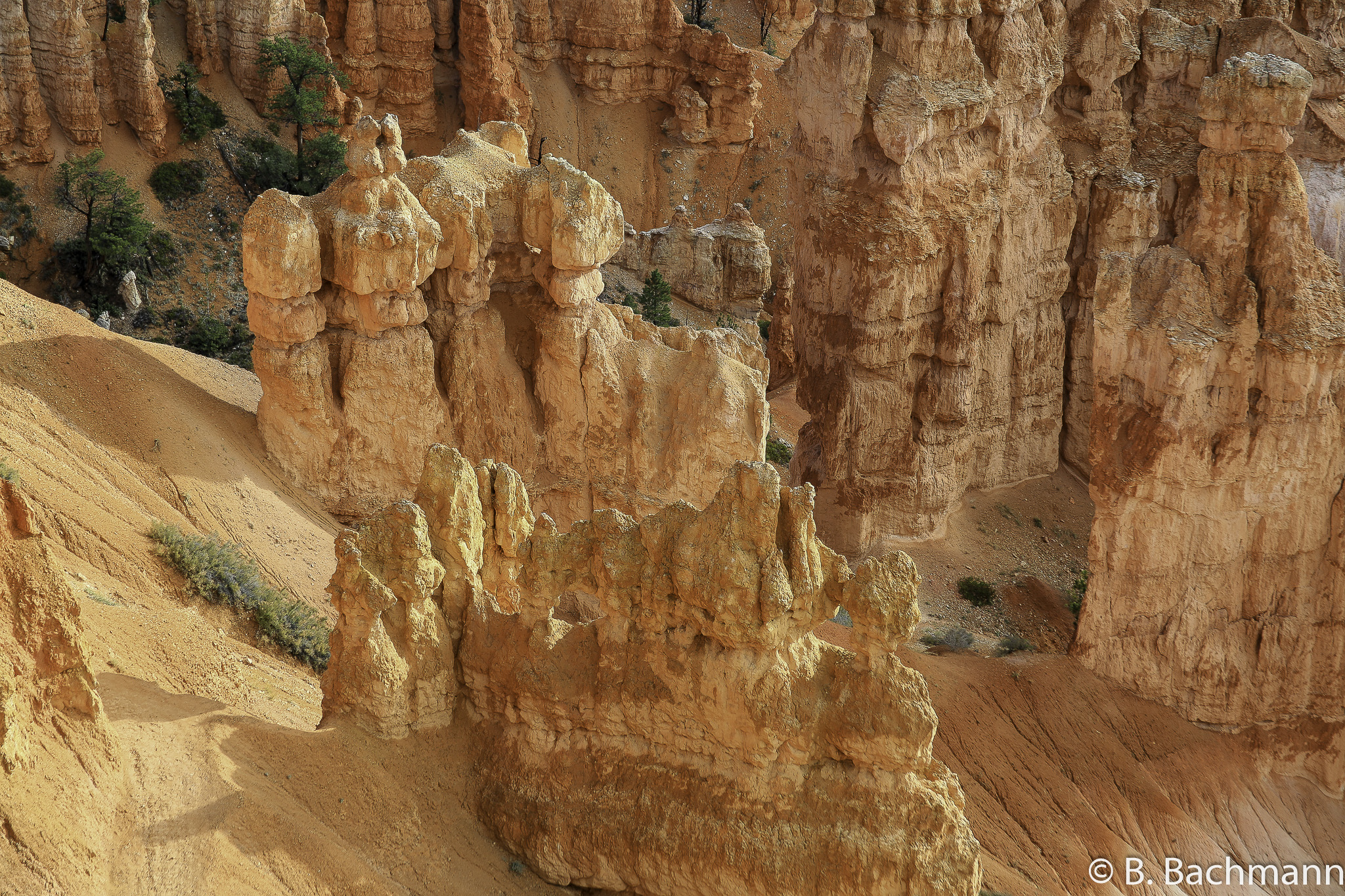 Bryce-Canyon_0024.jpg