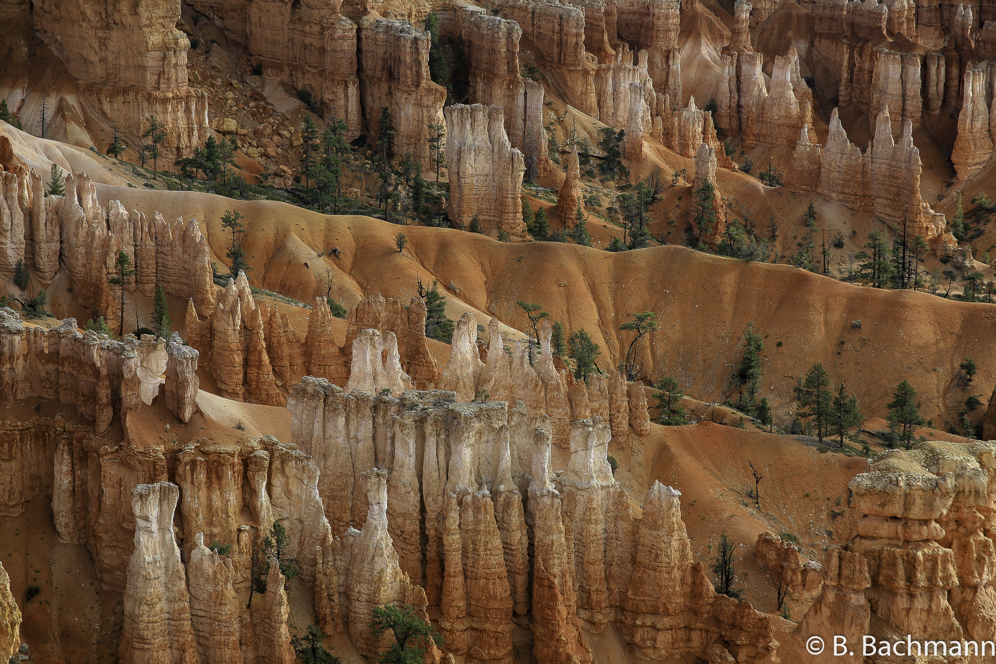 Bryce-Canyon_0025.jpg