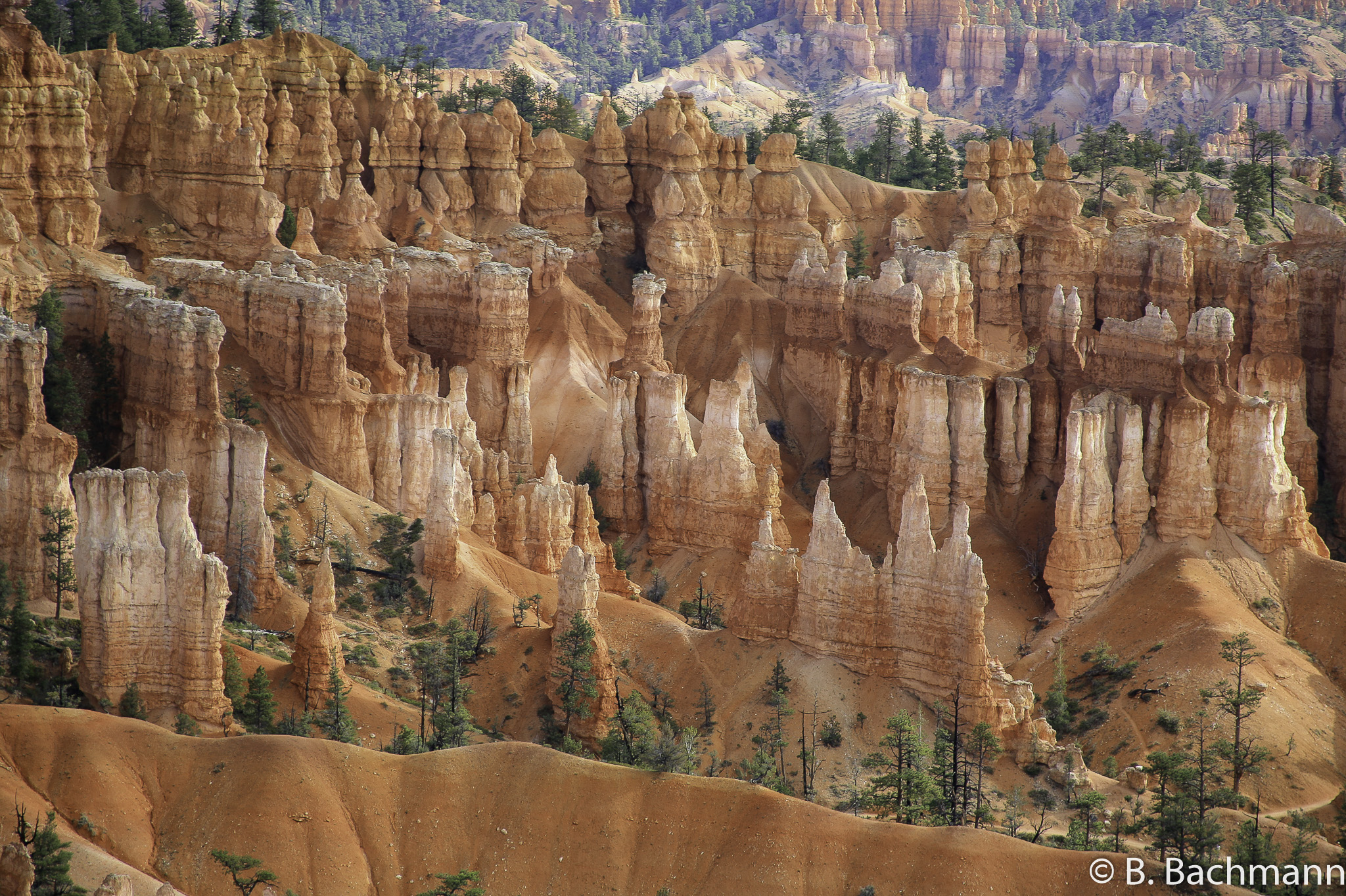 Bryce-Canyon_0026.jpg