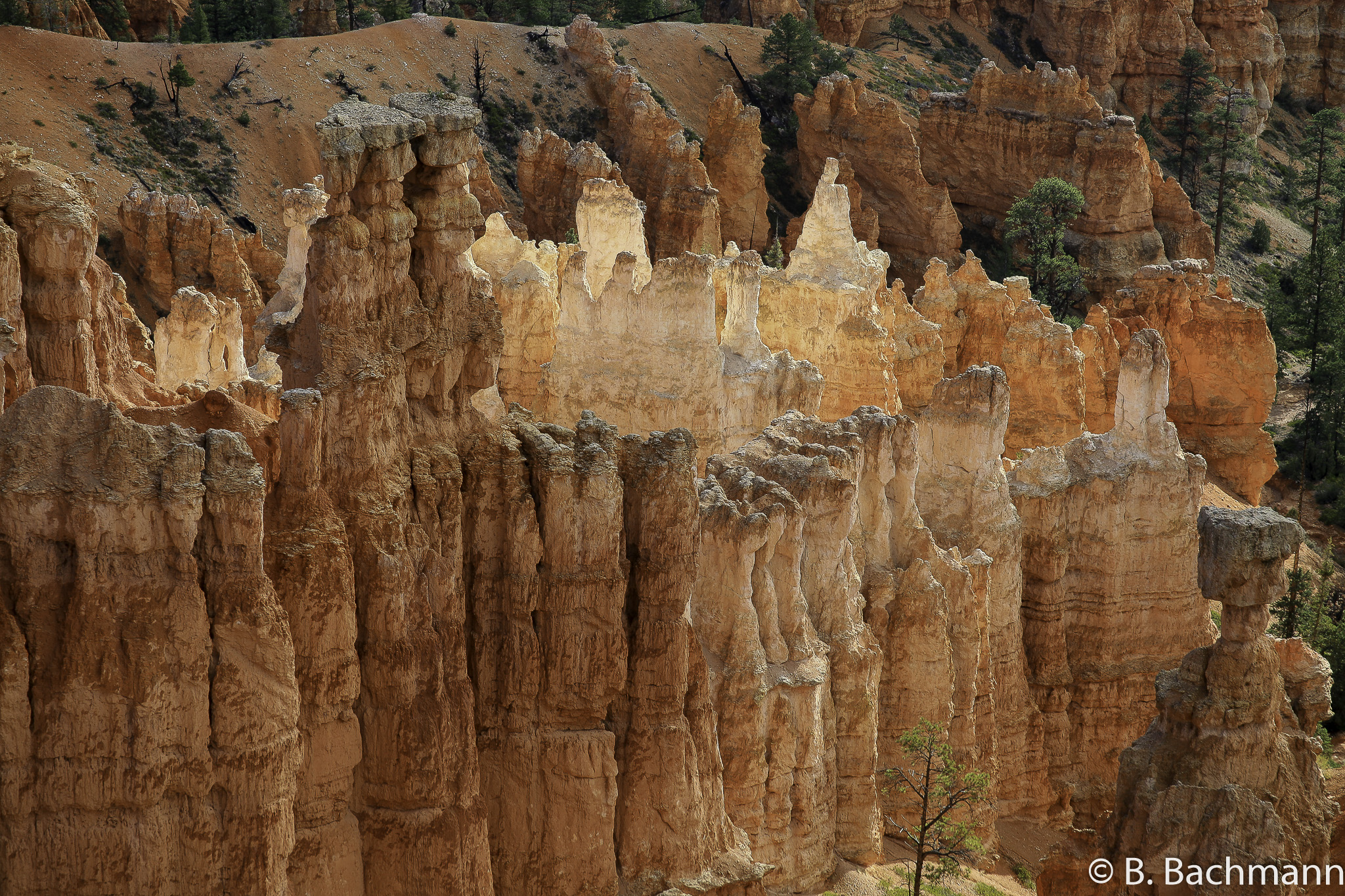 Bryce-Canyon_0027.jpg
