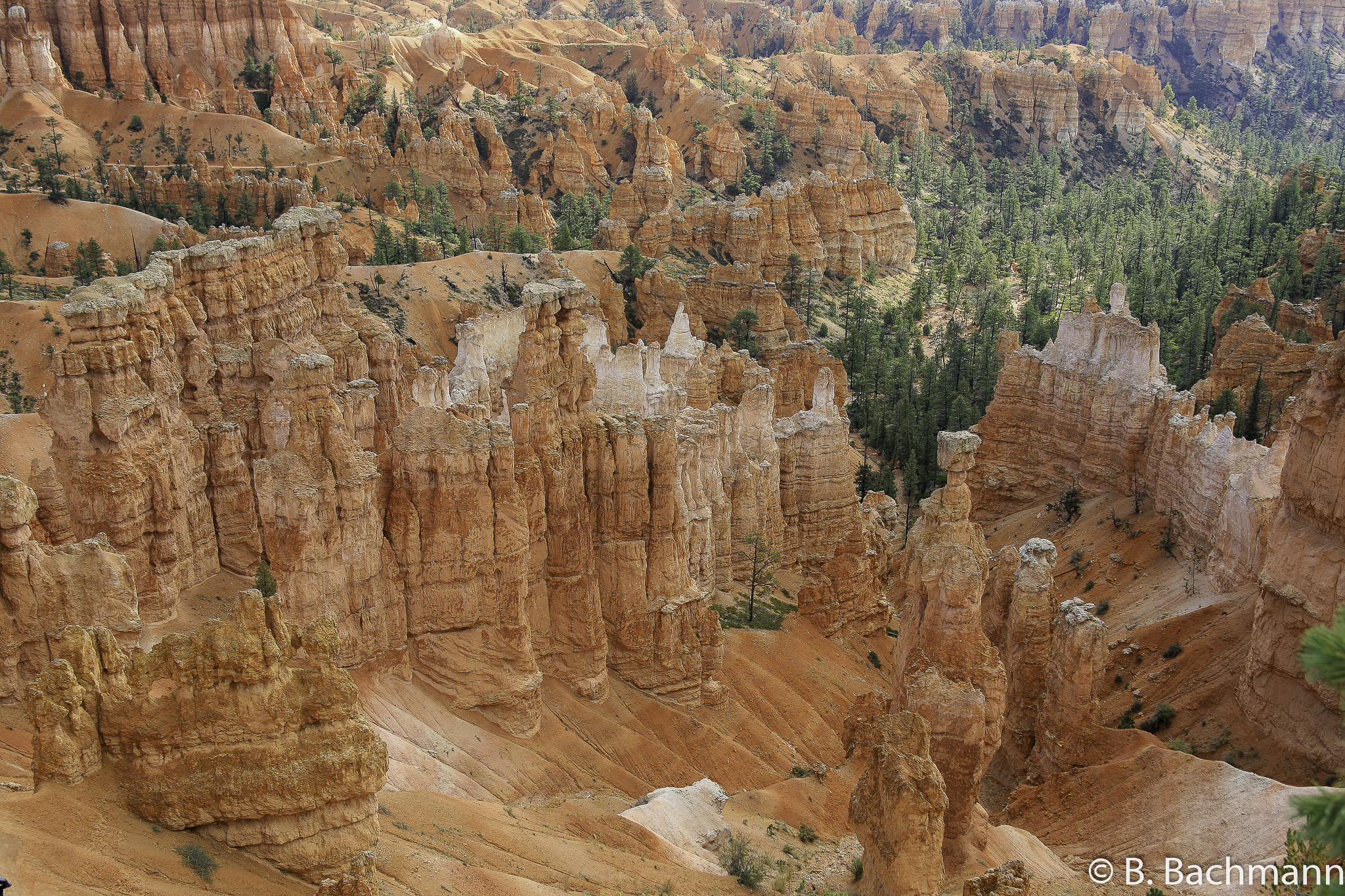 Bryce-Canyon_0029.jpg