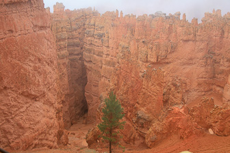 Bryce-Canyon_0002.jpg