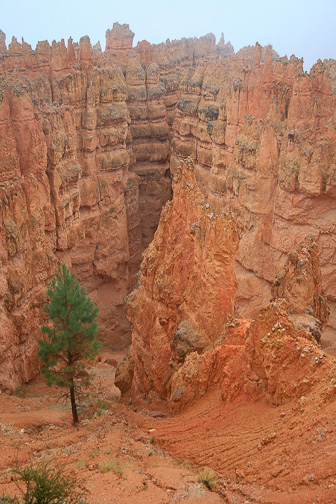 Bryce-Canyon_0006.jpg