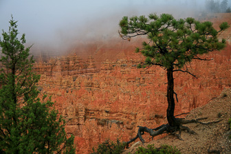 Bryce-Canyon_0008.jpg