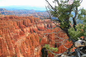 Bryce-Canyon_0018.jpg