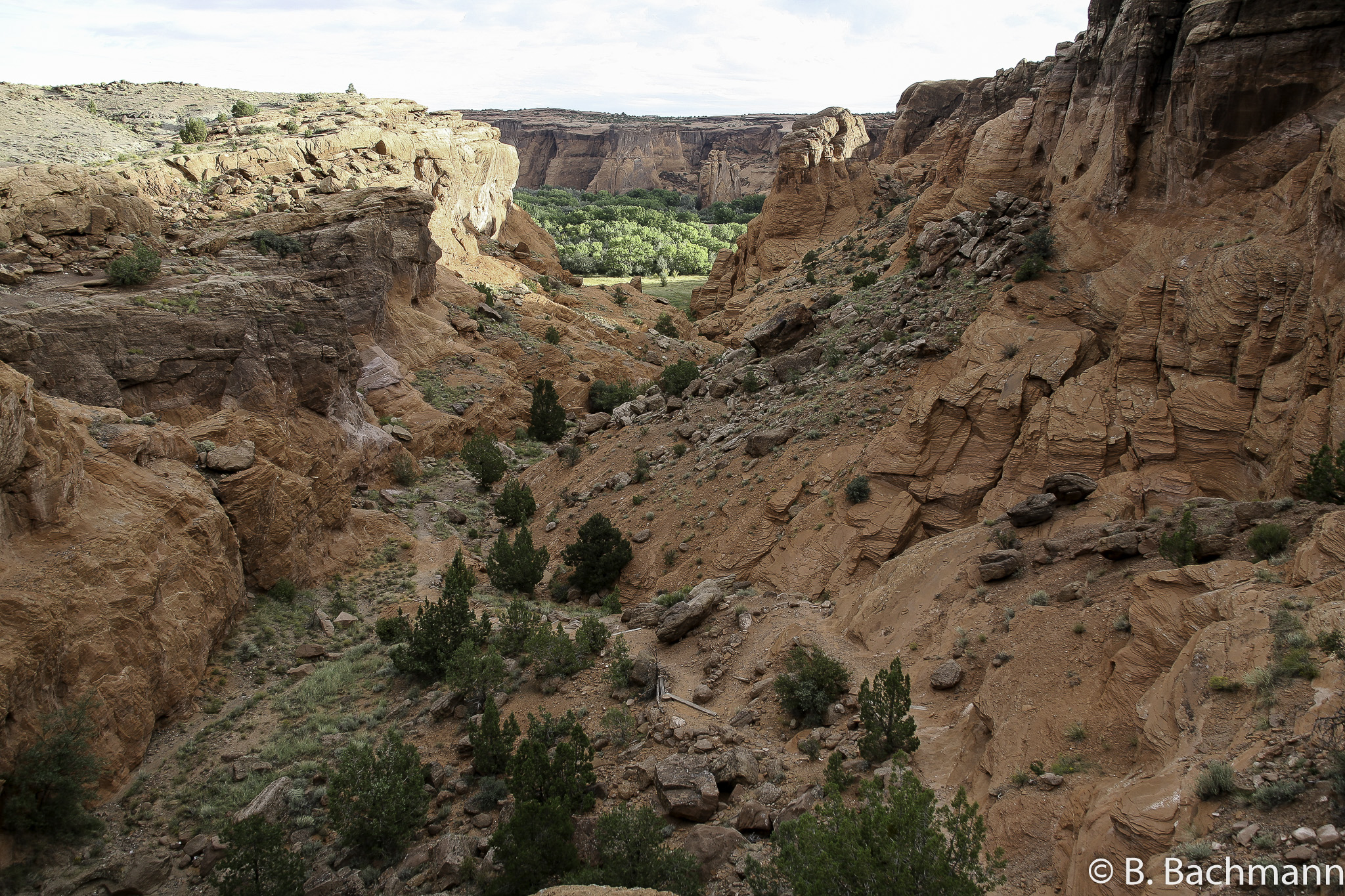 Chelly-Canyon_0015.jpg