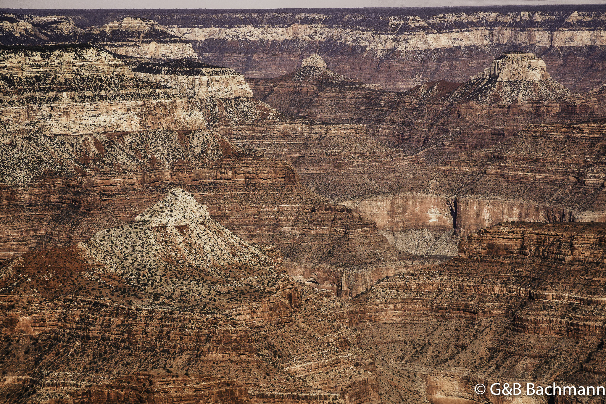 Gd_Canyon_0013.jpg