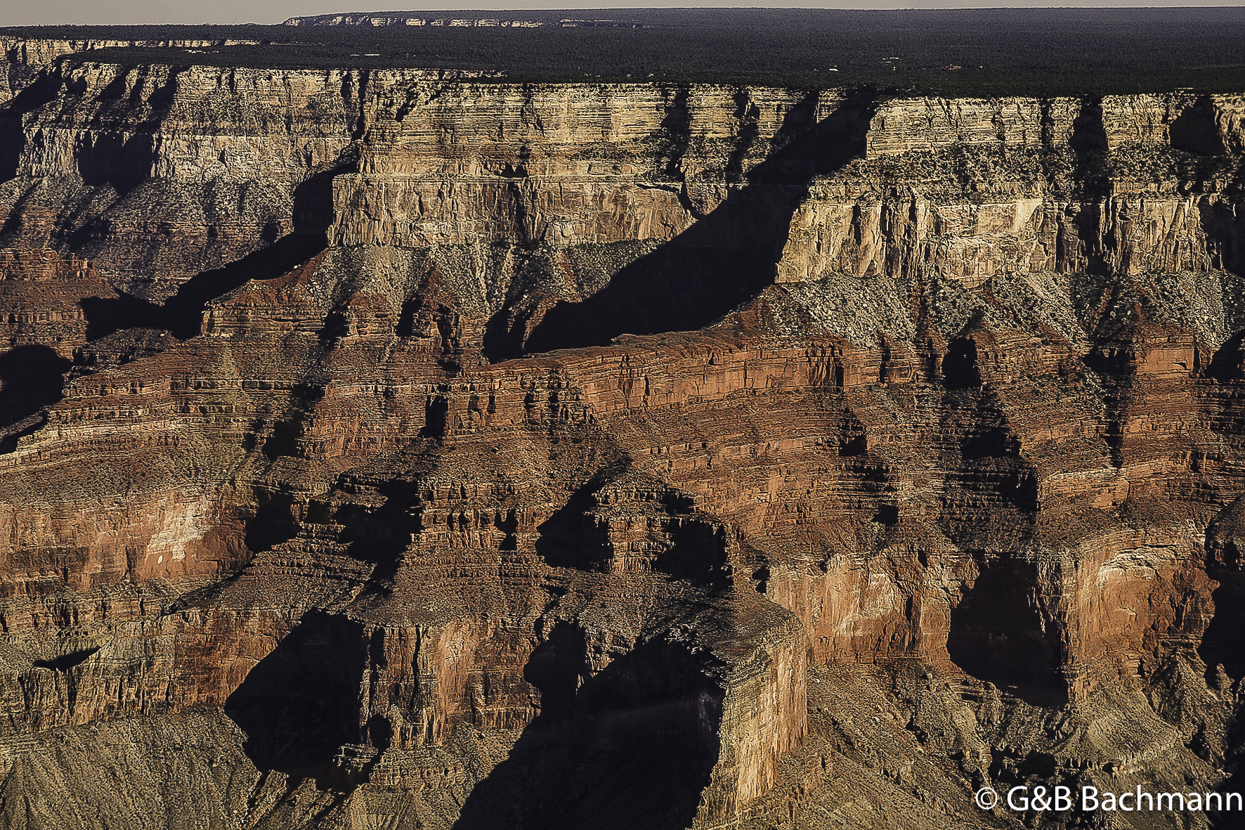 Gd_Canyon_0023.jpg
