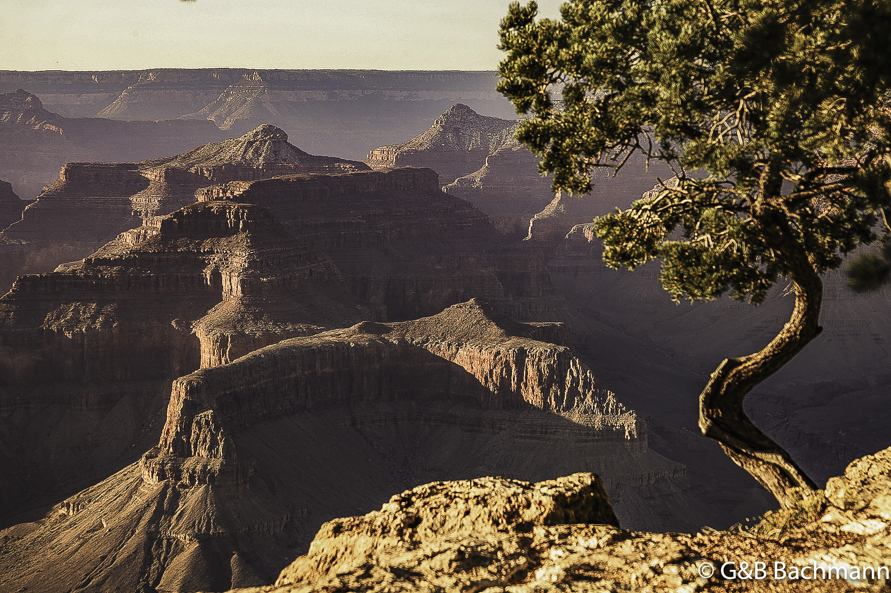 Gd_Canyon_0036.jpg