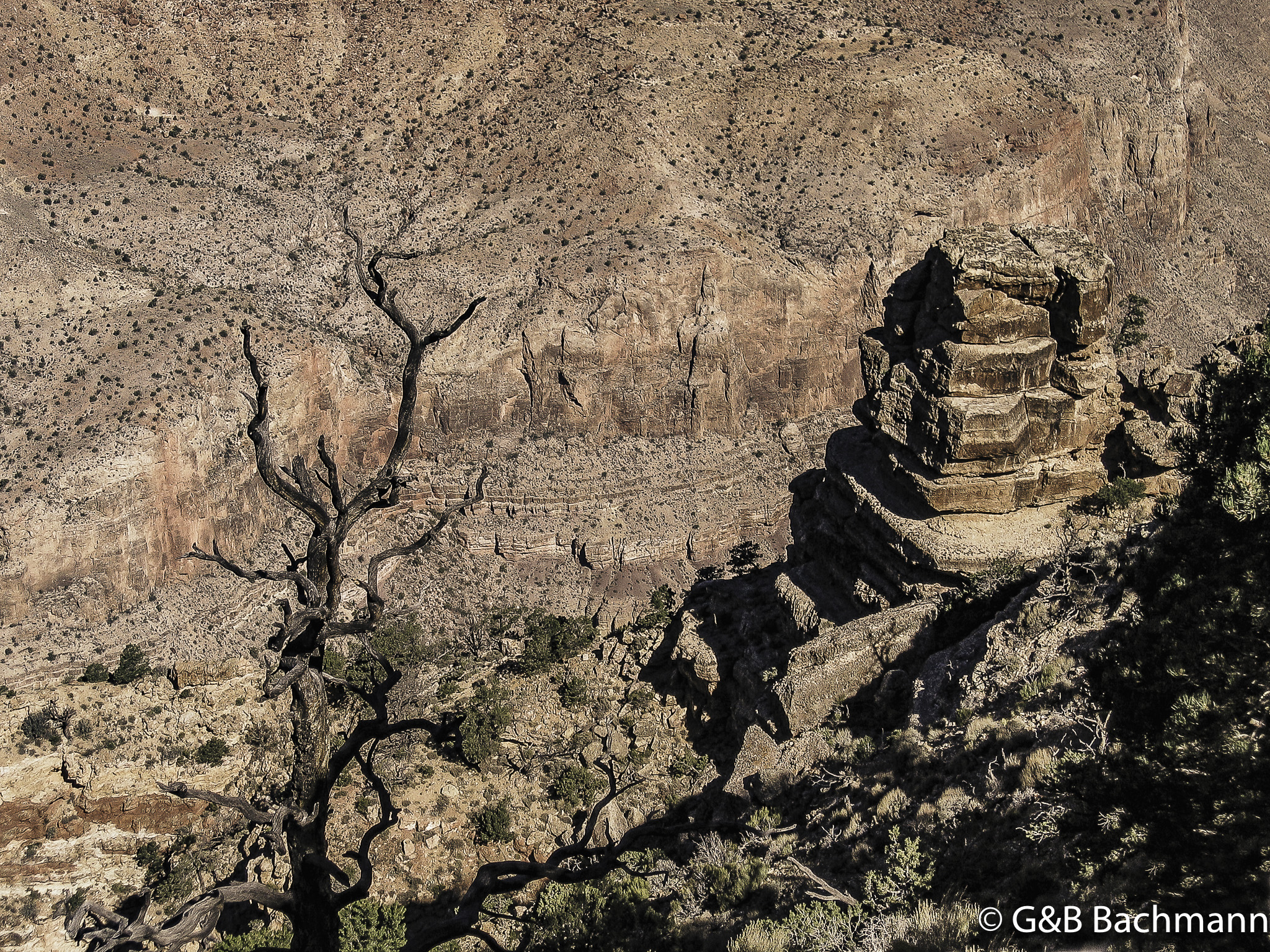 z19_Gd_Canyon_PS_0019.jpg