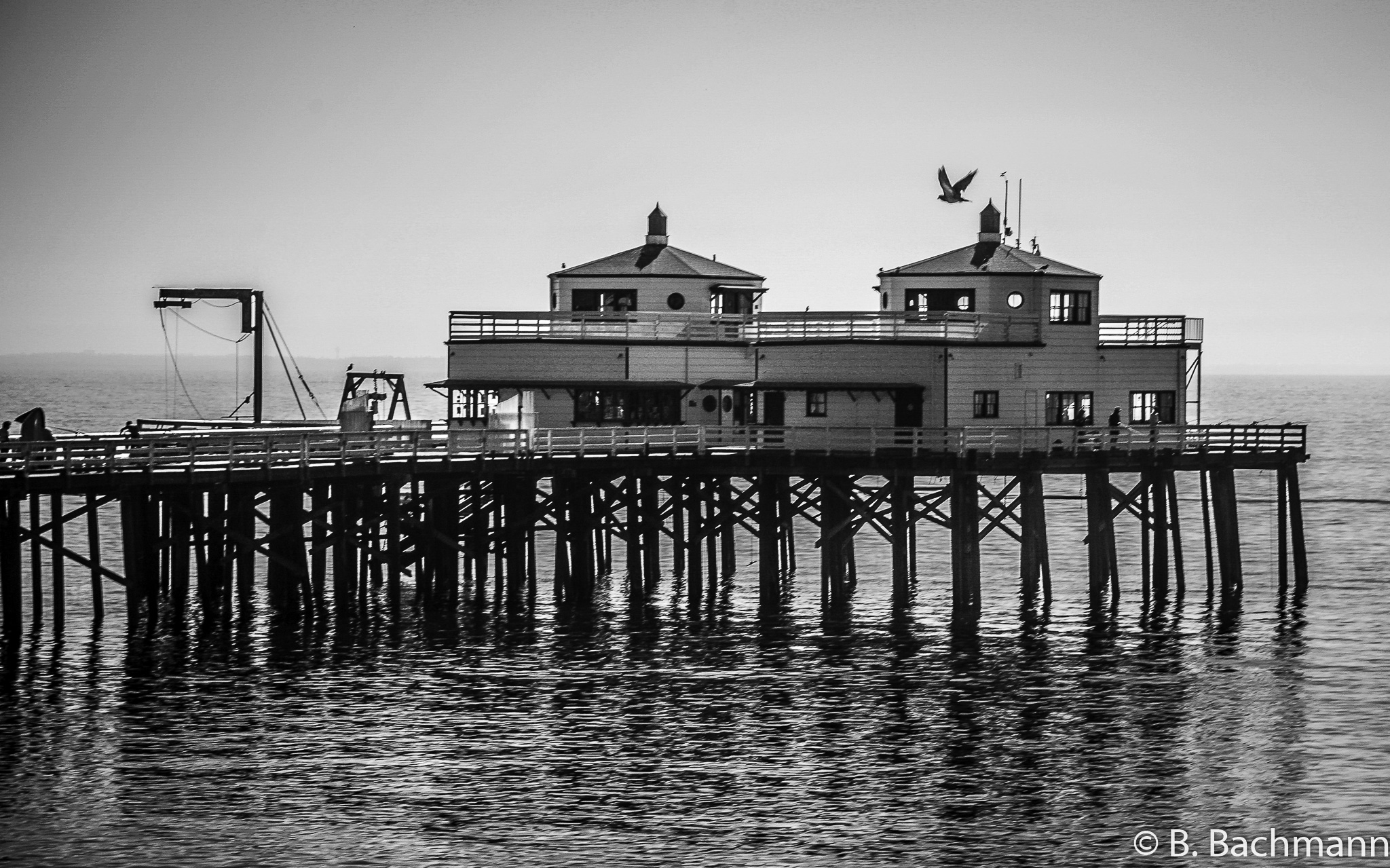 IMG_5096.jpg