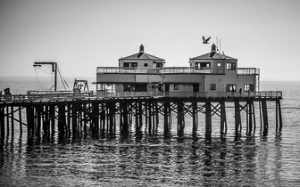 IMG_5096.jpg