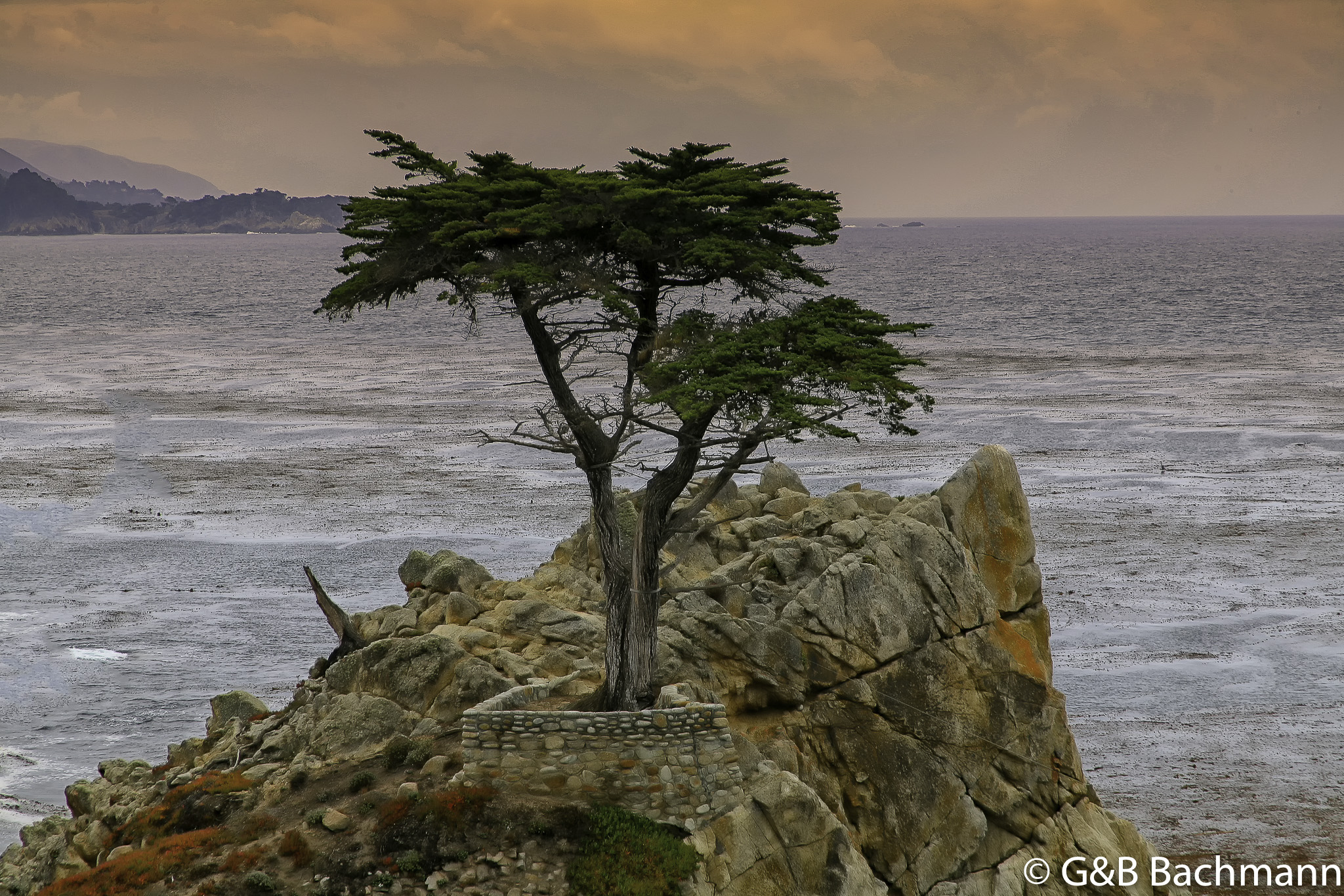 IMG_4457-Edit.jpg