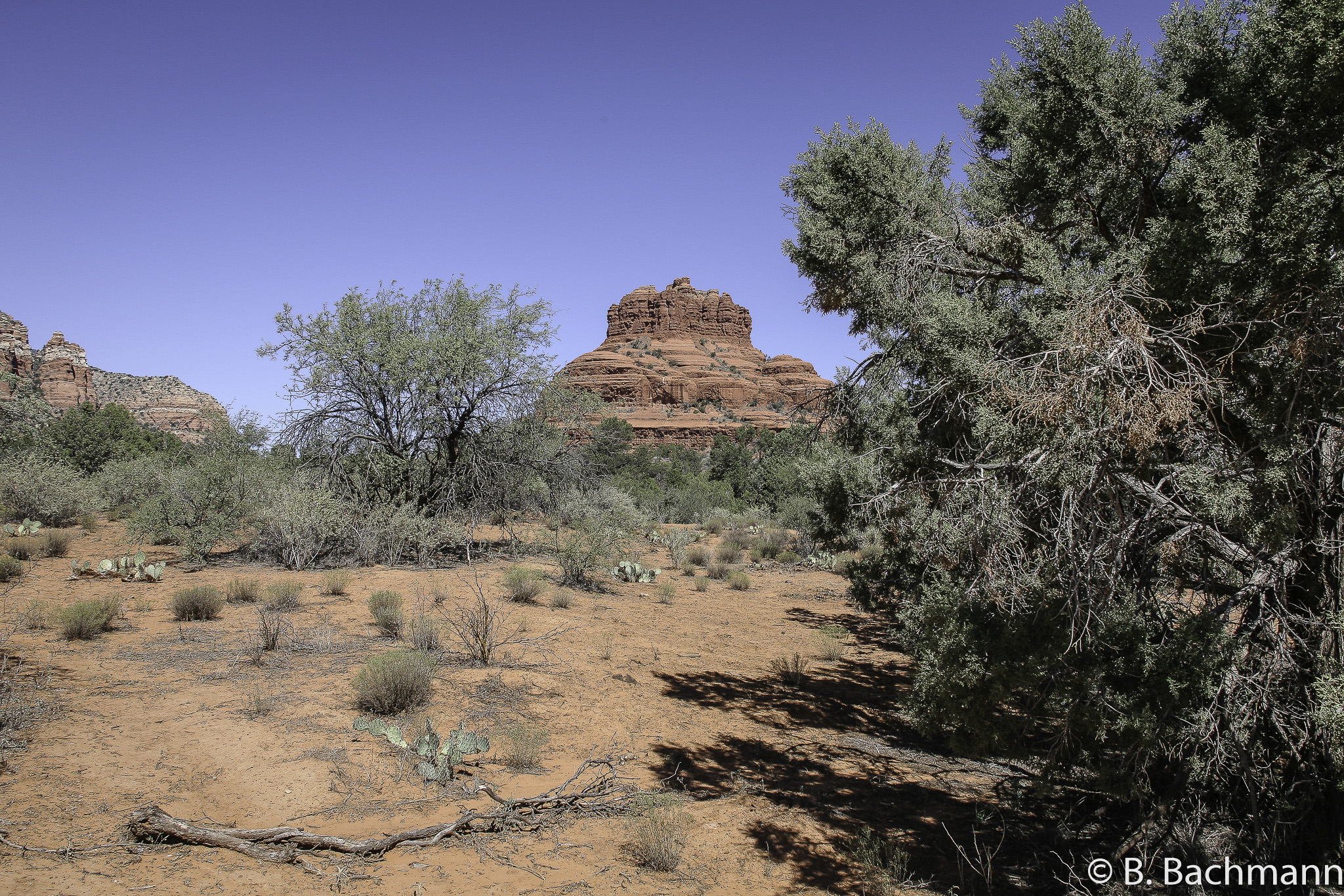 Red-Sock-Sedona_0004.jpg