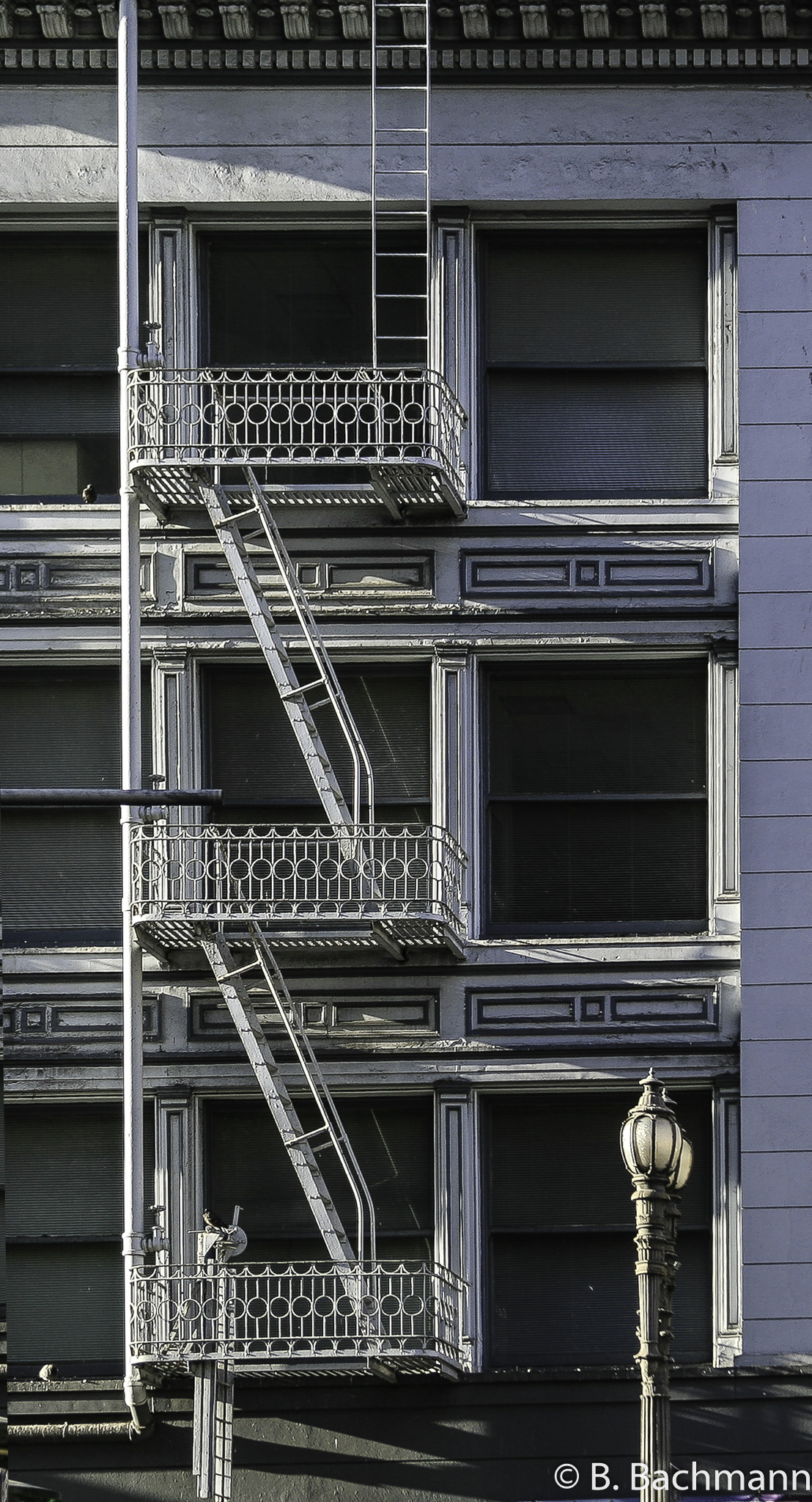 IMG_4343-Edit.jpg