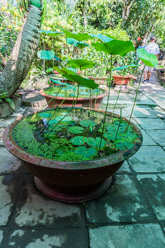 108A7240.jpg